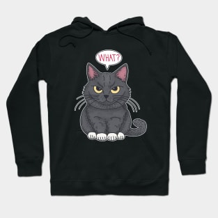 Black Cat Says What Hoodie